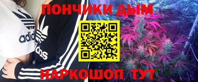 стаф Кунгур
