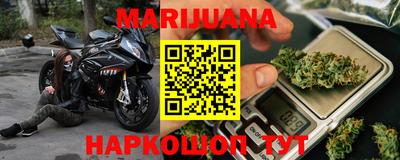 стаф Кунгур